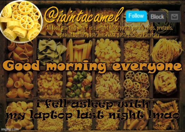 and ima head offline now cause school lol | Good morning everyone; i fell asleep with my laptop last night lmao | image tagged in iaintacamel | made w/ Imgflip meme maker