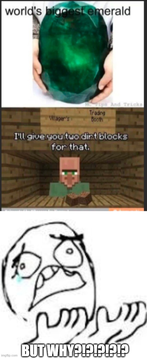 I HATE VILLAGERS ( except some ) | BUT WHY?!?!?!?!? | image tagged in but why | made w/ Imgflip meme maker
