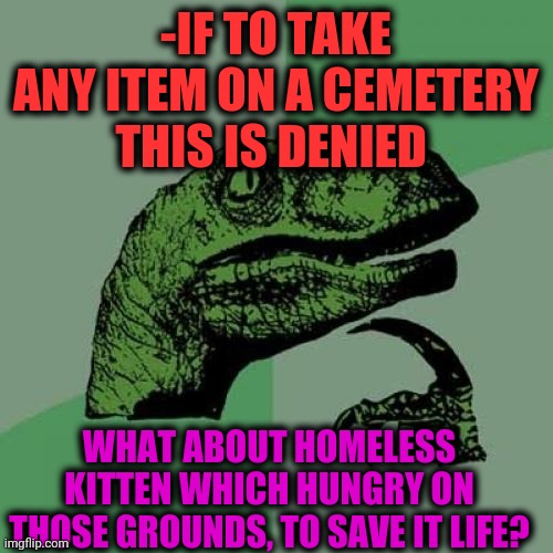 -We with voice. | -IF TO TAKE ANY ITEM ON A CEMETERY THIS IS DENIED; WHAT ABOUT HOMELESS KITTEN WHICH HUNGRY ON THOSE GROUNDS, TO SAVE IT LIFE? | image tagged in memes,philosoraptor,cemetery,cute kittens,hungry cat,save me | made w/ Imgflip meme maker