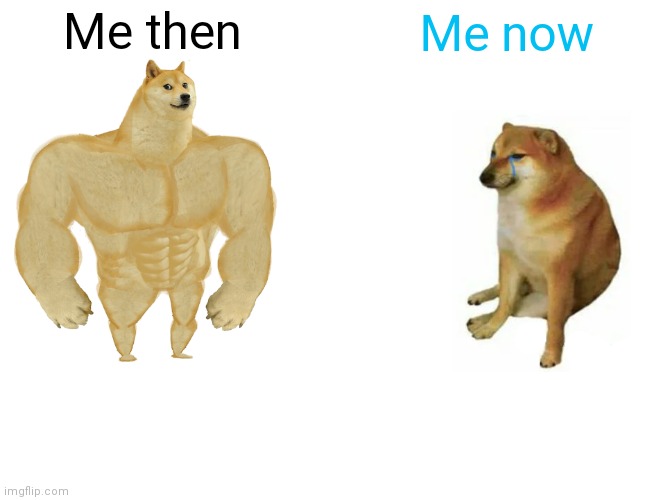 Totally me | Me then; Me now | image tagged in memes,buff doge vs cheems,relatable | made w/ Imgflip meme maker