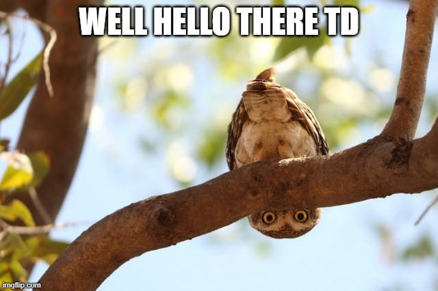 well howdy there | WELL HELLO THERE TD | image tagged in well howdy there | made w/ Imgflip meme maker