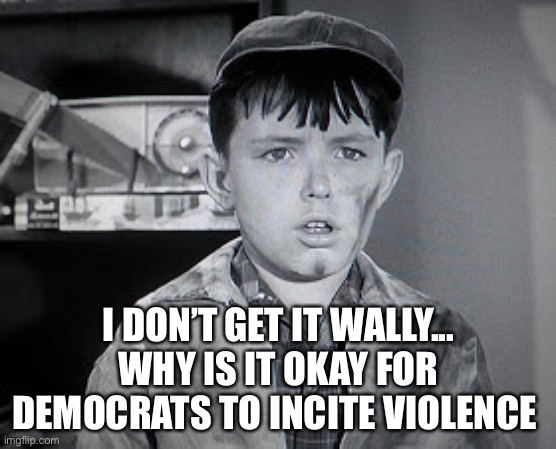 Beaver Cleaver  | I DON’T GET IT WALLY...
WHY IS IT OKAY FOR DEMOCRATS TO INCITE VIOLENCE | image tagged in beaver cleaver | made w/ Imgflip meme maker