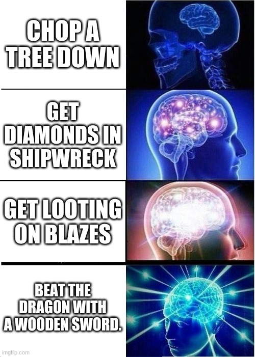 Noob to God | CHOP A TREE DOWN; GET DIAMONDS IN SHIPWRECK; GET LOOTING ON BLAZES; BEAT THE DRAGON WITH A WOODEN SWORD. | image tagged in memes,expanding brain | made w/ Imgflip meme maker