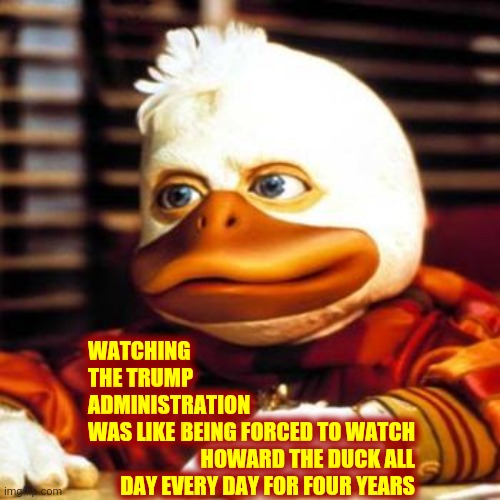 Torture | WATCHING THE TRUMP ADMINISTRATION WAS LIKE; BEING FORCED TO WATCH HOWARD THE DUCK ALL DAY EVERY DAY FOR FOUR YEARS | image tagged in howard the duck,torture,make it stop,stop it,funny because it's true,memes | made w/ Imgflip meme maker