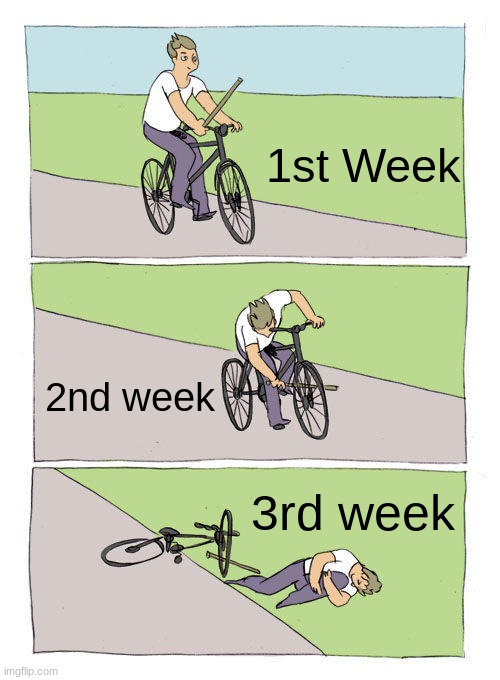 How School Works | 1st Week; 2nd week; 3rd week | image tagged in memes,bike fall,school,fail,hurt,ow | made w/ Imgflip meme maker