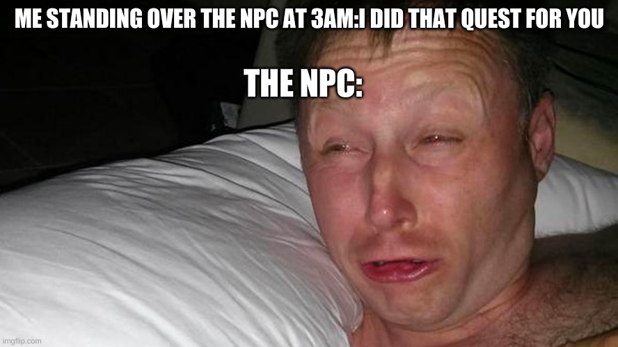ME STANDING OVER THE NPC AT 3AM:I DID THAT QUEST FOR YOU; THE NPC: | image tagged in wake up,npc meme | made w/ Imgflip meme maker