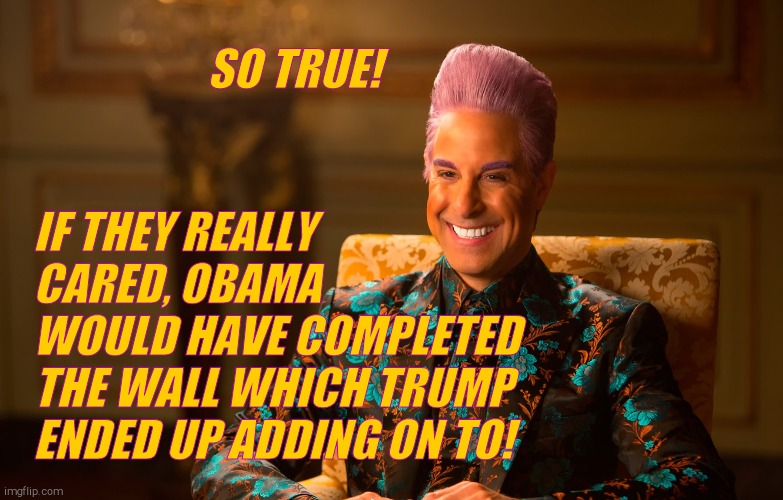 Caesar Fl | SO TRUE! IF THEY REALLY CARED, OBAMA   WOULD HAVE COMPLETED THE WALL WHICH TRUMP ENDED UP ADDING ON TO! | image tagged in caesar fl | made w/ Imgflip meme maker