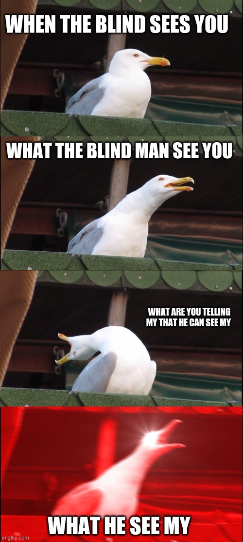 Inhaling Seagull Meme | WHEN THE BLIND SEES YOU; WHAT THE BLIND MAN SEE YOU; WHAT ARE YOU TELLING MY THAT HE CAN SEE MY; WHAT HE SEE MY | image tagged in memes,inhaling seagull | made w/ Imgflip meme maker