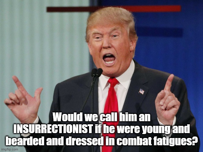Insurrectionist? | Would we call him an INSURRECTIONIST if he were young and bearded and dressed in combat fatigues? | image tagged in trump speaking | made w/ Imgflip meme maker