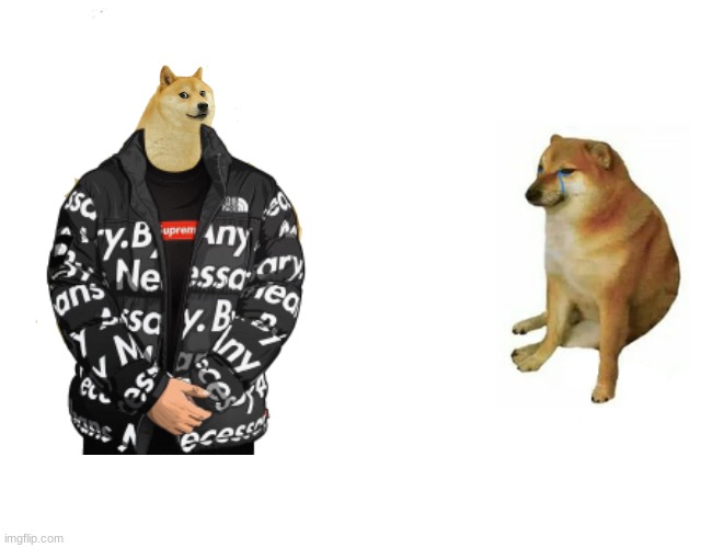 DRIP | image tagged in memes,funny,drip,buff doge vs cheems | made w/ Imgflip meme maker