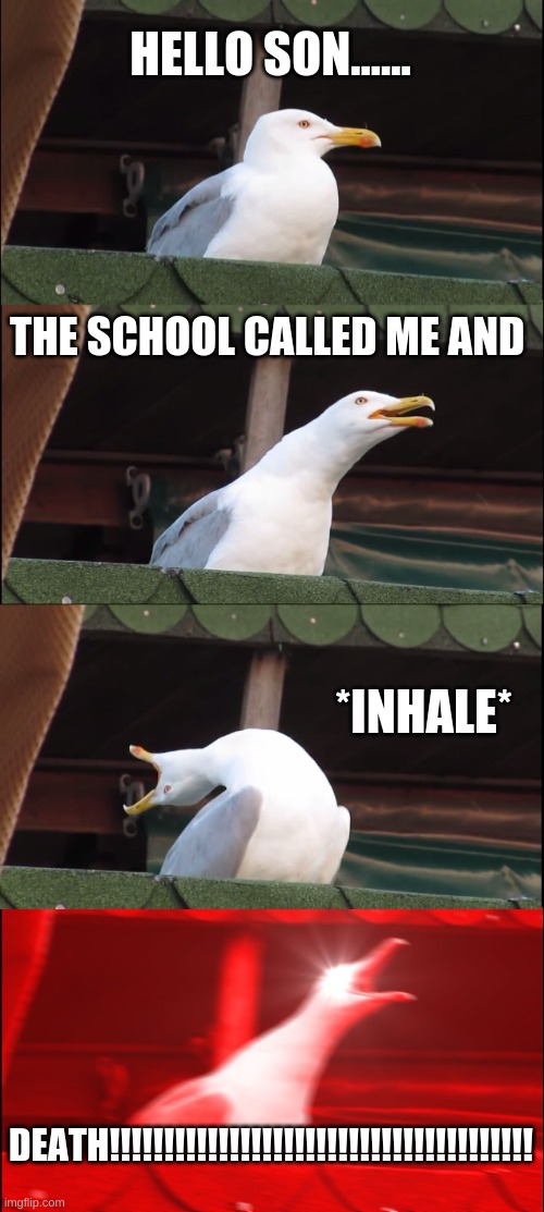 Inhaling Seagull |  HELLO SON...... THE SCHOOL CALLED ME AND; *INHALE*; DEATH!!!!!!!!!!!!!!!!!!!!!!!!!!!!!!!!!!!!!!! | image tagged in memes,inhaling seagull | made w/ Imgflip meme maker