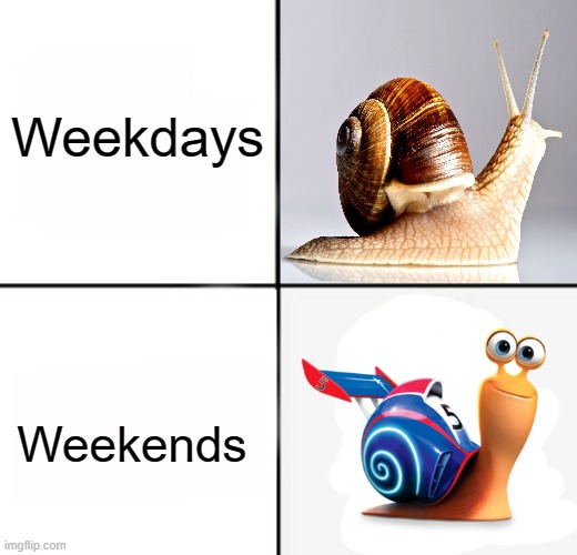 Hi | Weekdays; Weekends | image tagged in turbo snail,snail,memes | made w/ Imgflip meme maker