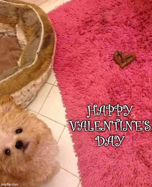 happy valentine's day | HAPPY VALENTINE'S DAY | image tagged in happy valentine's day | made w/ Imgflip meme maker