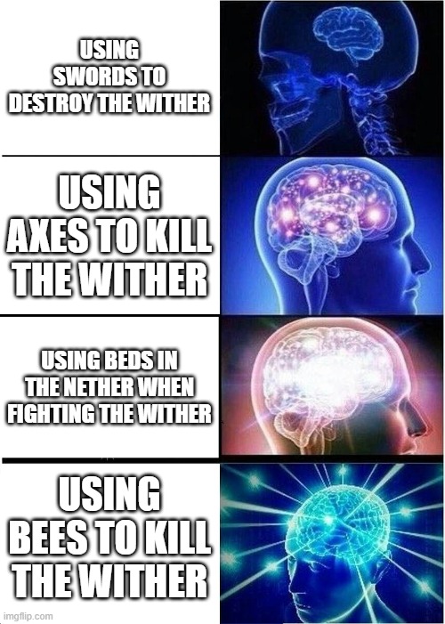 how to kill the wither | USING SWORDS TO DESTROY THE WITHER; USING AXES TO KILL THE WITHER; USING BEDS IN THE NETHER WHEN FIGHTING THE WITHER; USING BEES TO KILL THE WITHER | image tagged in memes,expanding brain | made w/ Imgflip meme maker
