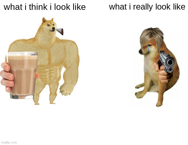 Buff Doge vs. Cheems Meme | what i think i look like; what i really look like | image tagged in memes,buff doge vs cheems | made w/ Imgflip meme maker