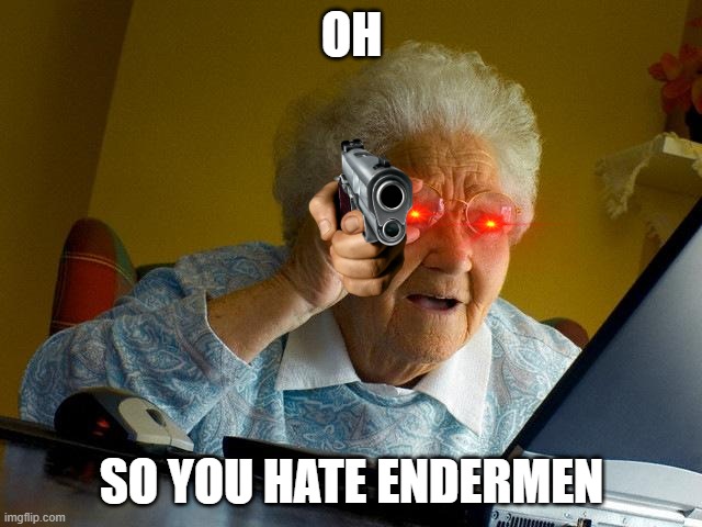 Grandma Finds The Internet Meme | OH; SO YOU HATE ENDERMEN | image tagged in memes,grandma finds the internet | made w/ Imgflip meme maker