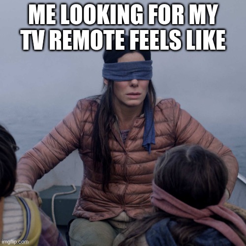 Bird Box | ME LOOKING FOR MY TV REMOTE FEELS LIKE | image tagged in memes,bird box | made w/ Imgflip meme maker