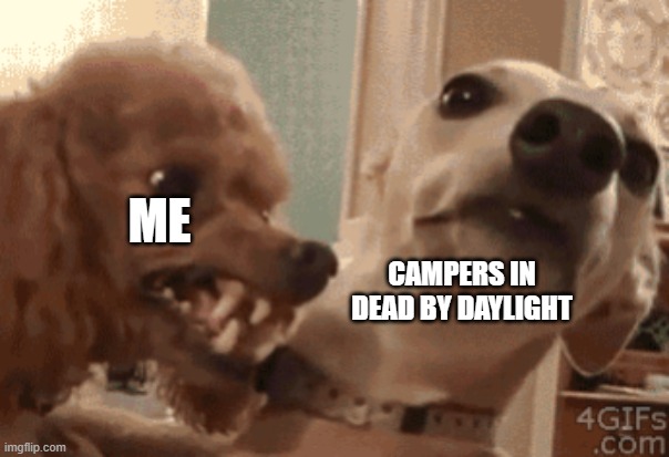 Angry Doog | ME; CAMPERS IN DEAD BY DAYLIGHT | image tagged in angry doog | made w/ Imgflip meme maker