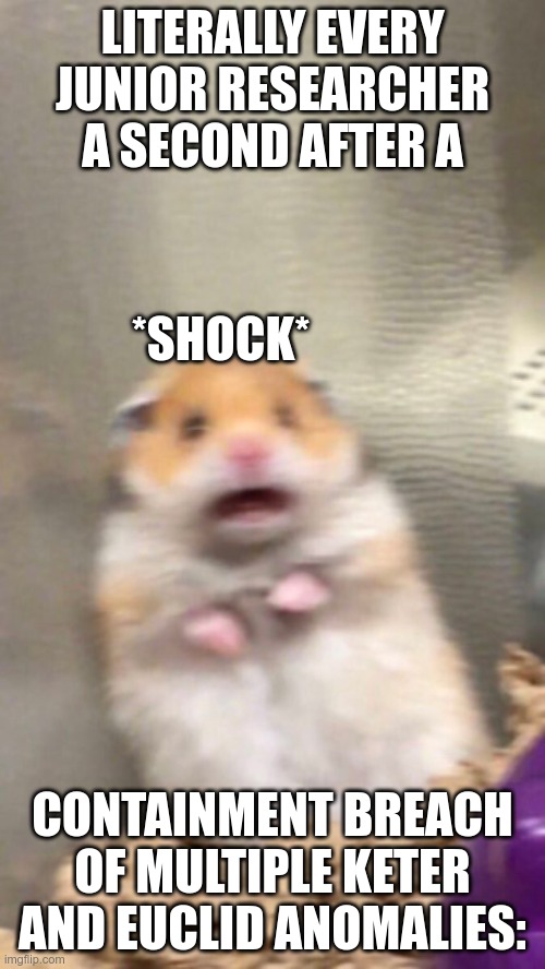 Duh | LITERALLY EVERY JUNIOR RESEARCHER A SECOND AFTER A; *SHOCK*; CONTAINMENT BREACH OF MULTIPLE KETER AND EUCLID ANOMALIES: | image tagged in surprised hamster | made w/ Imgflip meme maker