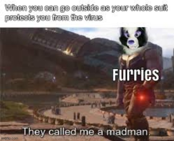 no no he's got a point | image tagged in furry | made w/ Imgflip meme maker