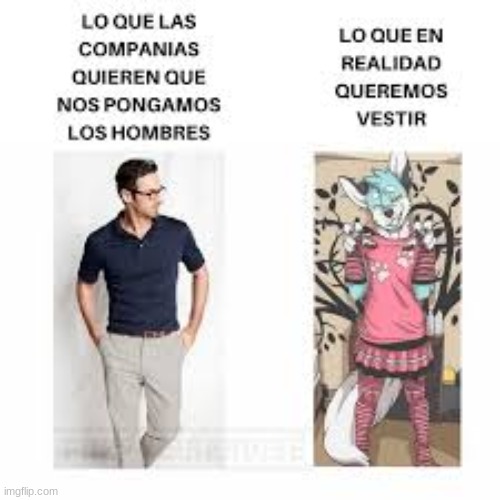 if anybody could speak spanish translate it in the comments | image tagged in furry,spanish | made w/ Imgflip meme maker