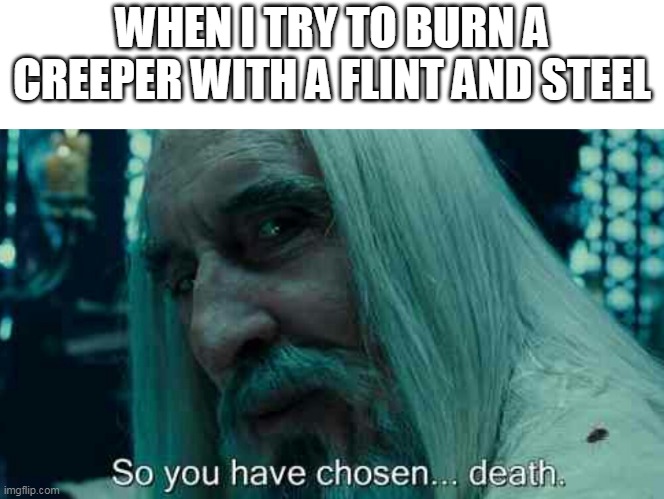 don't try this on hardcore | WHEN I TRY TO BURN A CREEPER WITH A FLINT AND STEEL | image tagged in so you have chosen death | made w/ Imgflip meme maker