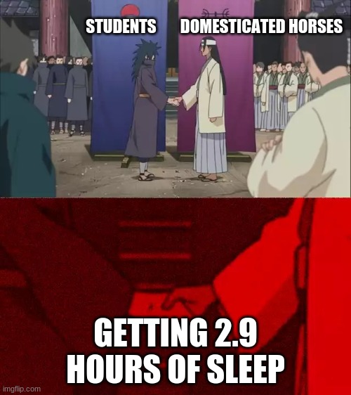 Kind of True tho.... | DOMESTICATED HORSES; STUDENTS; GETTING 2.9 HOURS OF SLEEP | image tagged in naruto handshake meme template,the truth,original meme | made w/ Imgflip meme maker