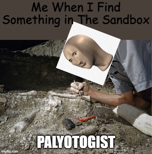 Insert Title Here: | Me When I Find Something in The Sandbox; PALYOTOGIST | image tagged in mememan | made w/ Imgflip meme maker