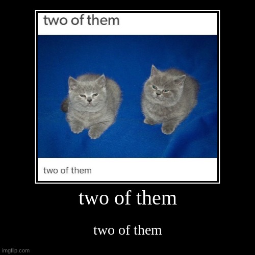two of them | image tagged in funny,demotivationals | made w/ Imgflip demotivational maker