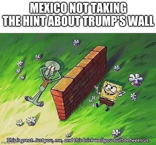 Spongebob Squarepants | MEXICO NOT TAKING THE HINT ABOUT TRUMP'S WALL | image tagged in spongebob squarepants | made w/ Imgflip meme maker