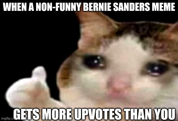 :( | WHEN A NON-FUNNY BERNIE SANDERS MEME; GETS MORE UPVOTES THAN YOU | image tagged in sad cat thumbs up | made w/ Imgflip meme maker