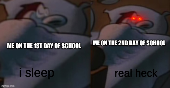 I sleep | ME ON THE 2ND DAY OF SCHOOL; ME ON THE 1ST DAY OF SCHOOL | image tagged in i sleep | made w/ Imgflip meme maker