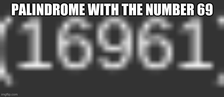 PALINDROME WITH THE NUMBER 69 | made w/ Imgflip meme maker