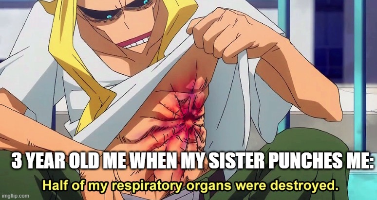 oof lil me |  3 YEAR OLD ME WHEN MY SISTER PUNCHES ME: | image tagged in half of my respiratory organs were destroyed | made w/ Imgflip meme maker