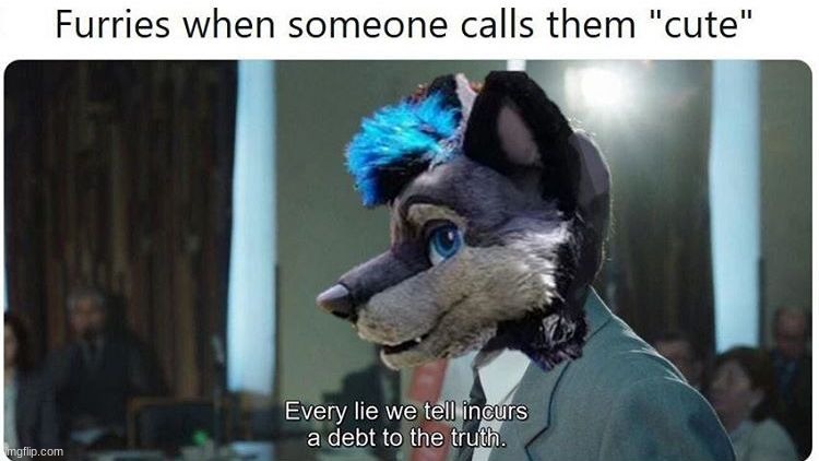 true | image tagged in furry | made w/ Imgflip meme maker