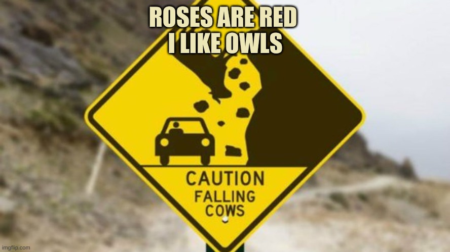 ... | ROSES ARE RED 

I LIKE OWLS | image tagged in idk | made w/ Imgflip meme maker