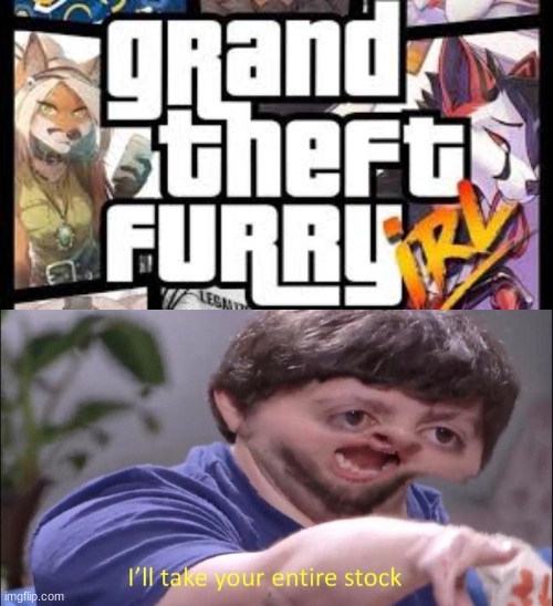 the perfect game doesn't exi- | image tagged in i'll take your entire stock,furry,gta 5 | made w/ Imgflip meme maker