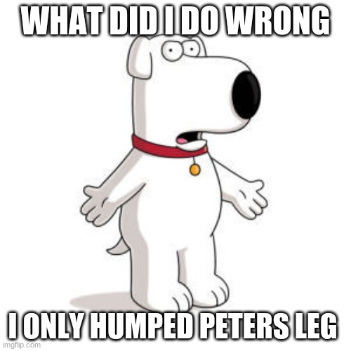 brians mistake | WHAT DID I DO WRONG; I ONLY HUMPED PETERS LEG | image tagged in memes,family guy brian | made w/ Imgflip meme maker