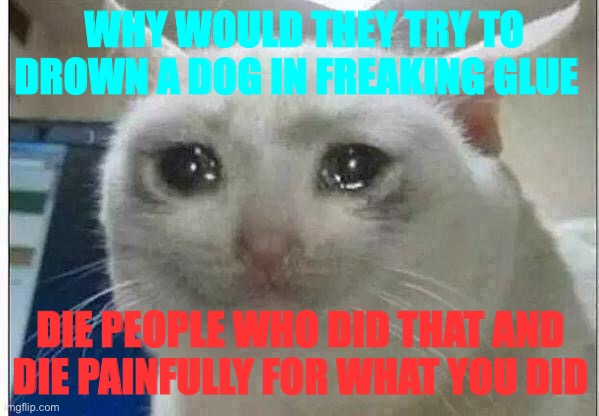 crying cat | WHY WOULD THEY TRY TO DROWN A DOG IN FREAKING GLUE DIE PEOPLE WHO DID THAT AND DIE PAINFULLY FOR WHAT YOU DID | image tagged in crying cat | made w/ Imgflip meme maker