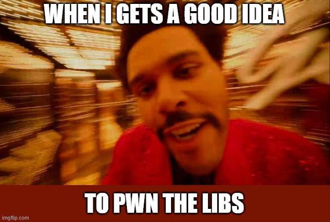 Sometimes I wonder if they type or just accept the random words created from drooling on the keyboard | WHEN I GETS A GOOD IDEA; TO PWN THE LIBS | image tagged in weekend half time show,memes,pwned,libs,template available | made w/ Imgflip meme maker