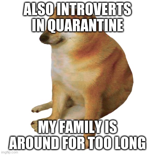 cheems | ALSO INTROVERTS IN QUARANTINE MY FAMILY IS AROUND FOR TOO LONG | image tagged in cheems | made w/ Imgflip meme maker
