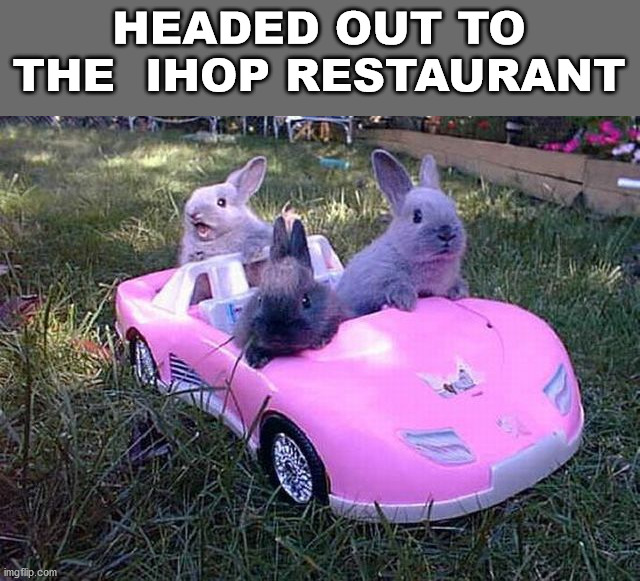 HEADED OUT TO THE  IHOP RESTAURANT | image tagged in bunnies | made w/ Imgflip meme maker