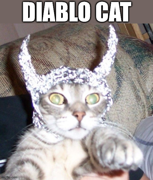 DIABLO CAT | image tagged in cats | made w/ Imgflip meme maker