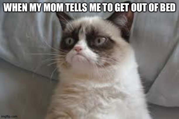 Grumpy cat | WHEN MY MOM TELLS ME TO GET OUT OF BED | image tagged in grumpy cat | made w/ Imgflip meme maker