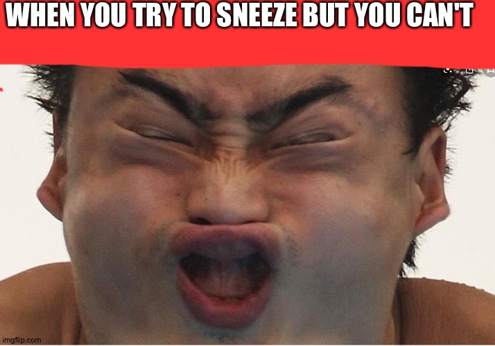 Wow it's true | WHEN YOU TRY TO SNEEZE BUT YOU CAN'T | made w/ Imgflip meme maker