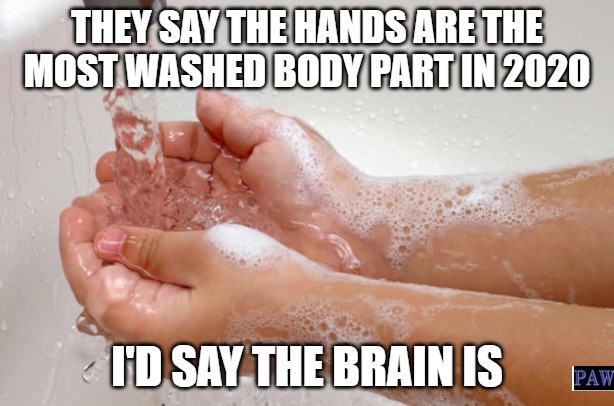 Brainwashed | THEY SAY THE HANDS ARE THE MOST WASHED BODY PART IN 2020; I'D SAY THE BRAIN IS | image tagged in hands,brainwashed,funny | made w/ Imgflip meme maker