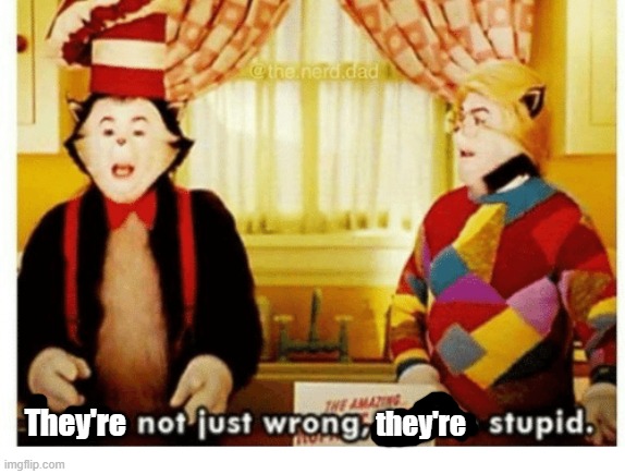 You're not just wrong your stupid | They're they're | image tagged in you're not just wrong your stupid | made w/ Imgflip meme maker