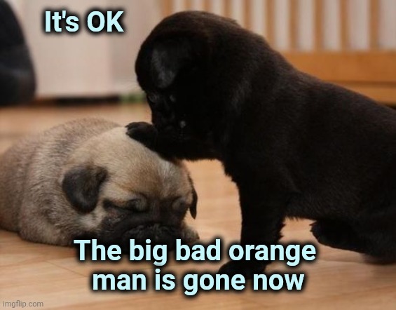 there there | It's OK The big bad orange 
man is gone now | image tagged in there there | made w/ Imgflip meme maker