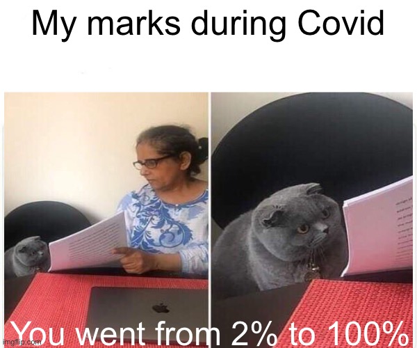 School during COVID | My marks during Covid; You went from 2% to 100% | image tagged in coronavirus,cat,funny memes,double d facts book,online school,funny cat memes | made w/ Imgflip meme maker