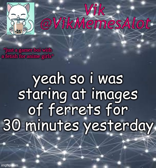 F E R R E T | yeah so i was staring at images of ferrets for 30 minutes yesterday | image tagged in vik anouncey thing | made w/ Imgflip meme maker